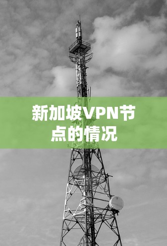 新加坡VPN节点的情况
