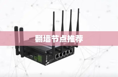 翻墙节点推荐