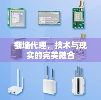 翻墙代理，技术与现实的完美融合