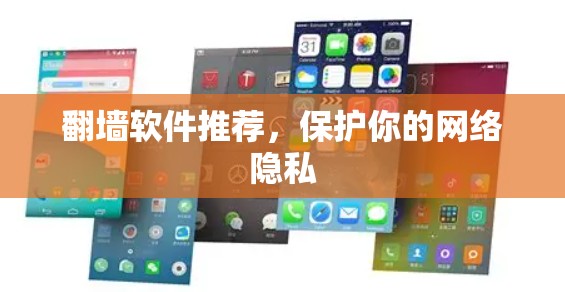翻墙软件推荐，保护你的网络隐私