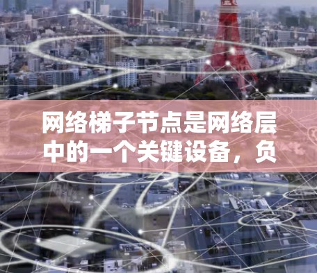 网络梯子节点是网络层中的一个关键设备，负责连接不同的子网，确保网络的高效和稳定运行。以下是关于网络梯子节点的详细信息