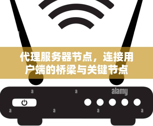 代理服务器节点，连接用户端的桥梁与关键节点
