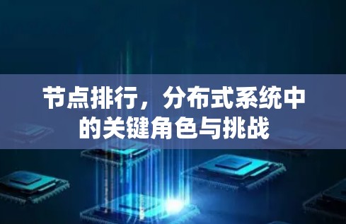 节点排行，分布式系统中的关键角色与挑战