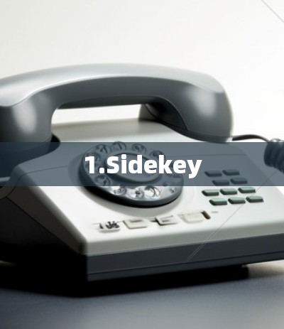1.Sidekey