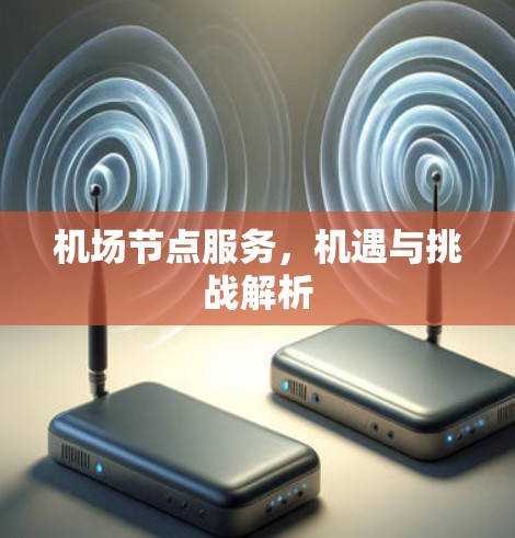 机场节点服务,机遇与挑战解析 机场节点服务,机遇与挑战解析