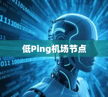 低Ping机场节点