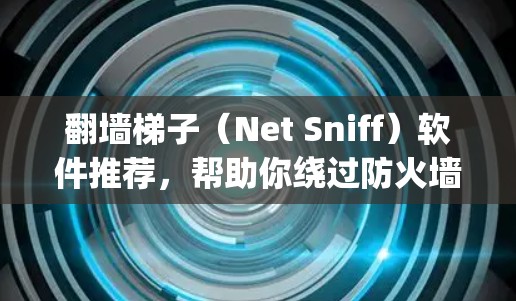 翻墙梯子（Net Sniff）软件推荐，帮助你绕过防火墙或网络防火墙，获取网络资源。以下是一些常见的翻墙梯子软件推荐，适合普通用户和偶尔需要网络爬虫的用户