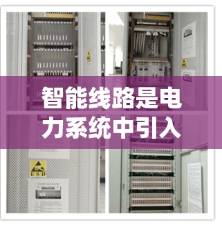 智能线路是电力系统中引入的自动化和智能化设备和系统，旨在优化电力系统的运行和管理。以下是对智能线路的详细分类和说明