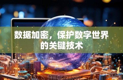 数据加密，保护数字世界的关键技术