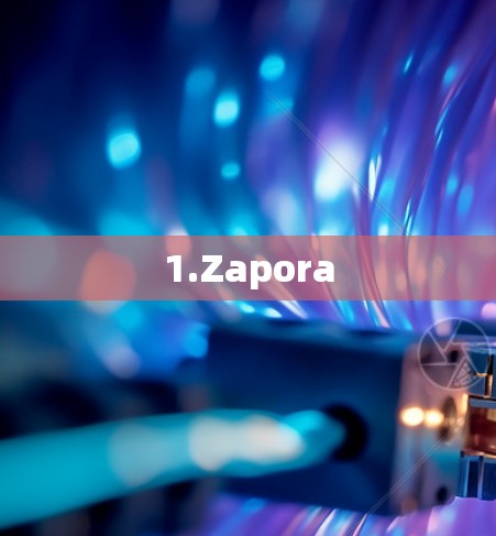 1.Zapora