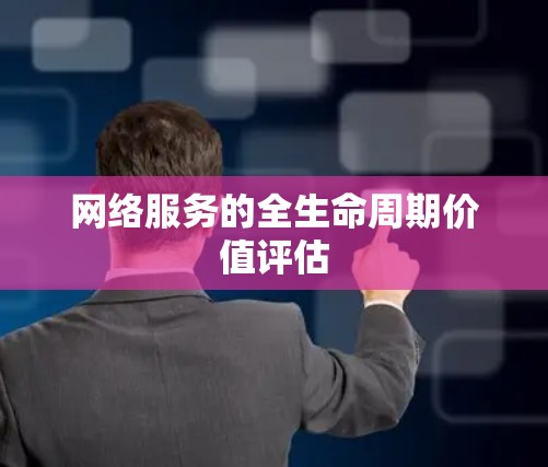 网络服务的全生命周期价值评估