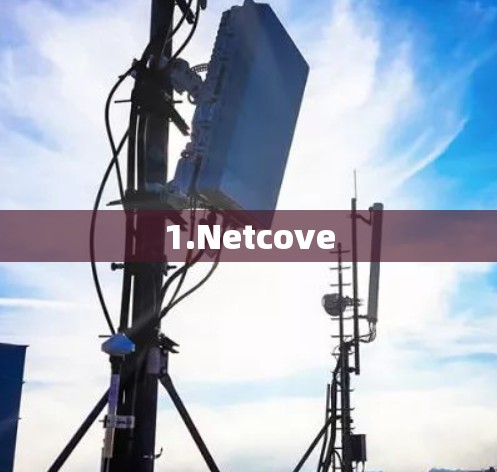 1.Netcove