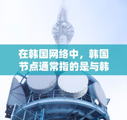 在韩国网络中，韩国节点通常指的是与韩国相关的网络或平台，这些平台通常基于韩国的互联网技术。韩国节点在现代网络和通讯中扮演着重要角色，特别是在处理信息、进行交流和社交活动方面