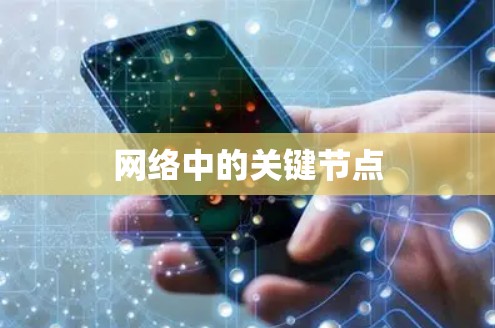 网络中的关键节点