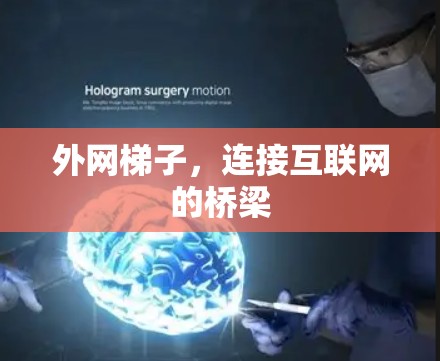 外网梯子，连接互联网的桥梁