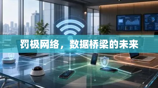 罚极网络，数据桥梁的未来