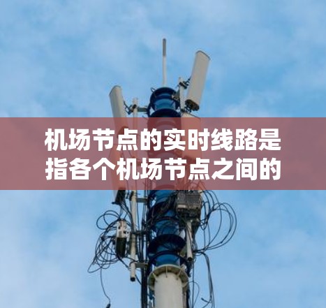 机场节点的实时线路是指各个机场节点之间的交通信息，包括飞行区、空域、飞机场之间的交通情况。实时线路通常会更新以提供最新的交通信息，帮助旅客规划路线或了解机场的交通状况