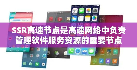 SSR高速节点是高速网络中负责管理软件服务资源的重要节点，其功能包括高效管理软件包、数据传输、网络协议等资源，确保网络的稳定性和高效运行。以下是对SSR高速节点的详细总结