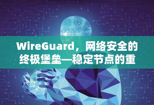 WireGuard，网络安全的终极堡垒—稳定节点的重要性与实现
