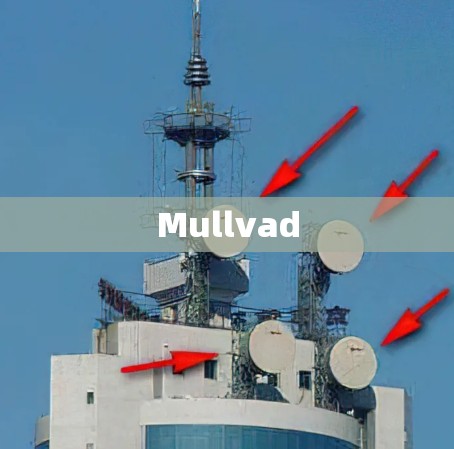 Mullvad Mullvad