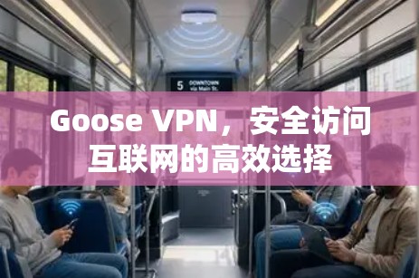 Goose VPN,安全访问互联网的高效选择 Goose VPN,安全访问互联网的高效选择