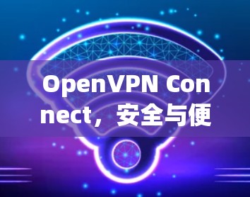 OpenVPN Connect，安全与便捷的通信新标准