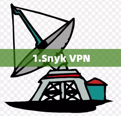 1.Snyk VPN