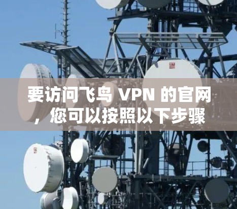 要访问飞鸟 VPN 的官网，您可以按照以下步骤操作