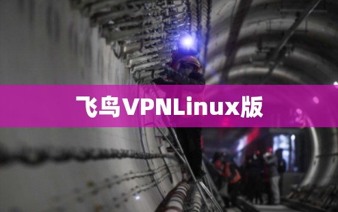 飞鸟VPNLinux版