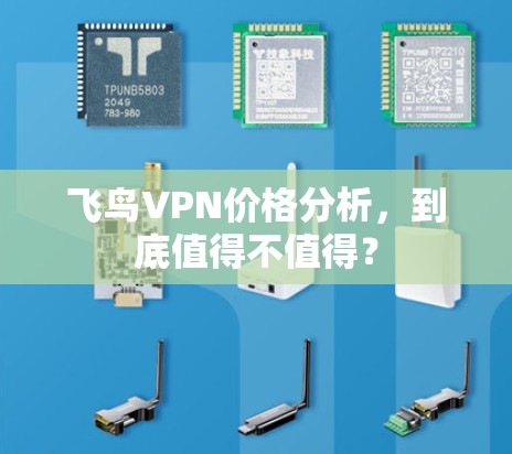 飞鸟VPN价格分析，到底值得不值得？