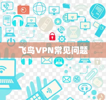 飞鸟VPN常见问题