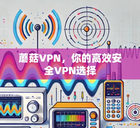 蘑菇VPN，你的高效安全VPN选择