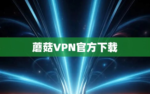 蘑菇VPN官方下载