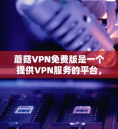 蘑菇VPN免费版是一个提供VPN服务的平台，旨在为用户提供安全、可靠的网络连接。以下是对蘑菇VPN免费版的详细介绍
