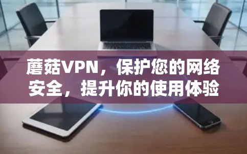 蘑菇VPN，保护您的网络安全，提升你的使用体验