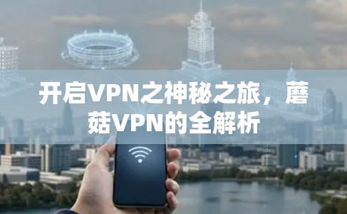 开启VPN之神秘之旅，蘑菇VPN的全解析