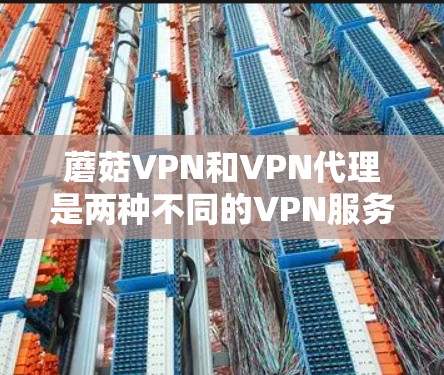 蘑菇VPN和VPN代理是两种不同的VPN服务，各有其独特的优势和适用场景。以下是对这两种服务的详细分析
