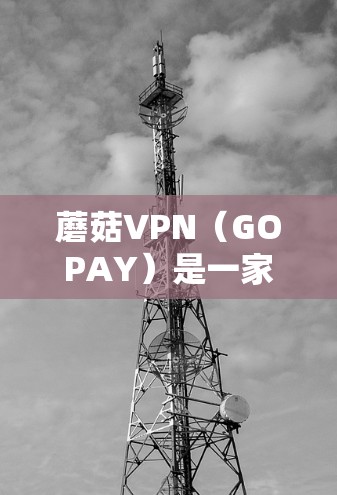 蘑菇VPN（GOPAY）是一家知名的VPN服务提供商，提供多种VPN服务，包括内网访问、VPN连接和数据加密功能。蘑菇VPN在全球范围内提供服务器，覆盖多个国家和地区
