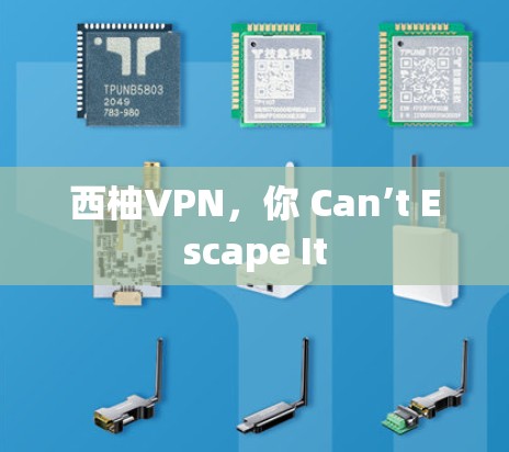西柚VPN，你 Can’t Escape It