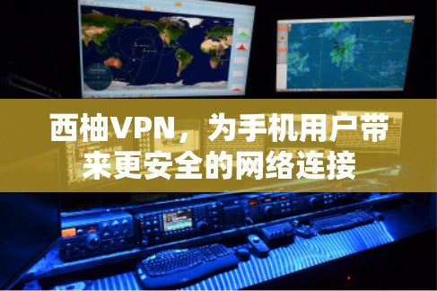 西柚VPN，为手机用户带来更安全的网络连接