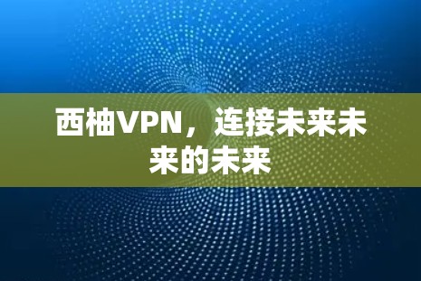 西柚VPN，连接未来未来的未来