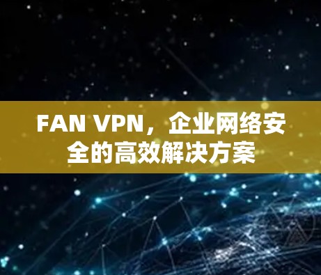 FAN VPN，企业网络安全的高效解决方案
