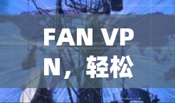 FAN VPN，轻松连接网络的便捷工具