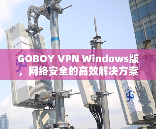 GOBOY VPN Windows版，网络安全的高效解决方案