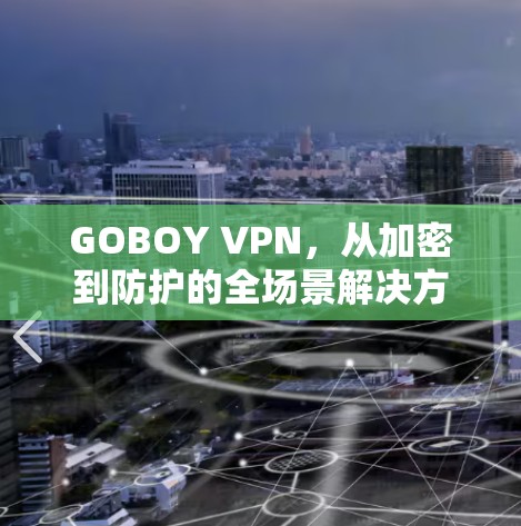 GOBOY VPN，从加密到防护的全场景解决方案