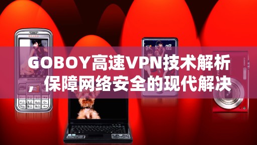GOBOY高速VPN技术解析，保障网络安全的现代解决方案