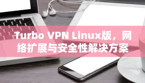 Turbo VPN Linux版，网络扩展与安全性解决方案
