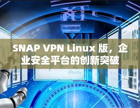 SNAP VPN Linux 版，企业安全平台的创新突破