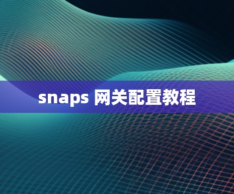 snaps 网关配置教程