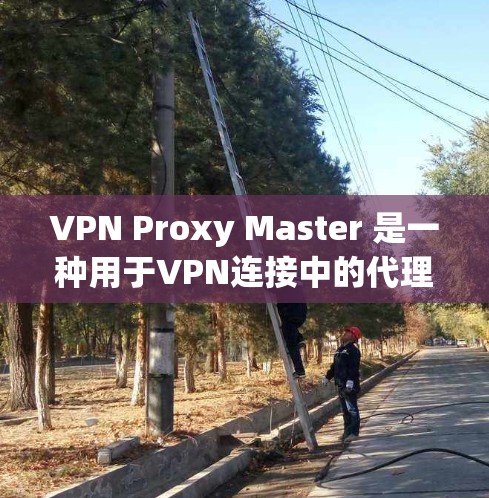 VPN Proxy Master 是一种用于VPN连接中的代理工具，用于代理IP地址、过滤网络、提供加密连接等功能。以下是关于VPN Proxy Master 的详细说明